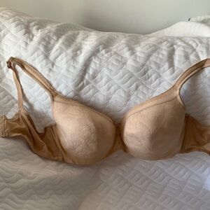 Elegant Tan Lace Bra Plus Size 44DDD